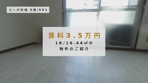 紹介ムービー