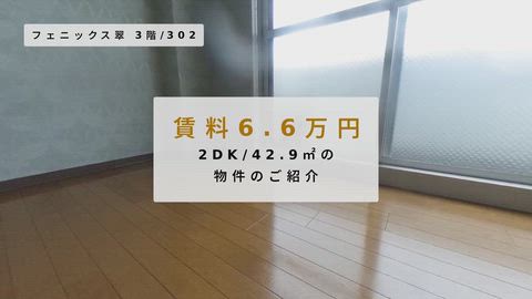 紹介ムービー
