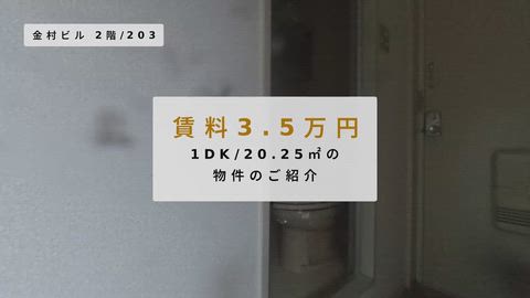 動画