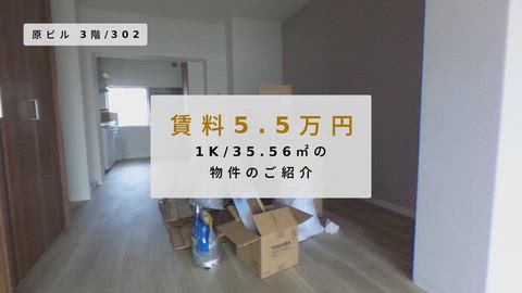 動画
