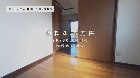 動画