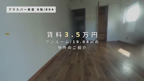 動画
