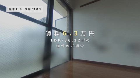 動画