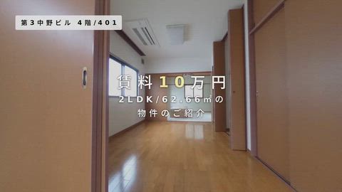 動画