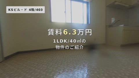 動画