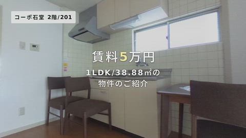 動画