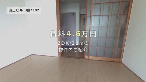 動画