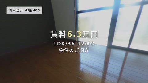 動画
