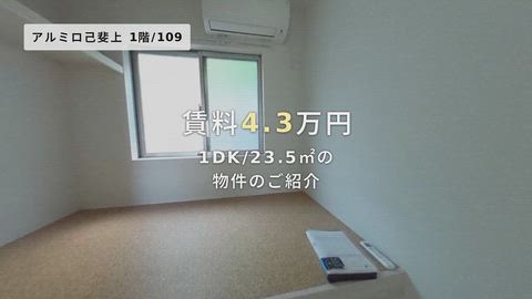 動画