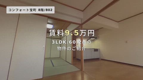 動画