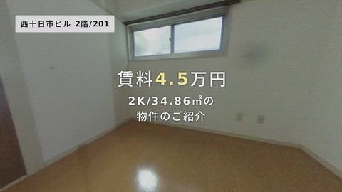 動画