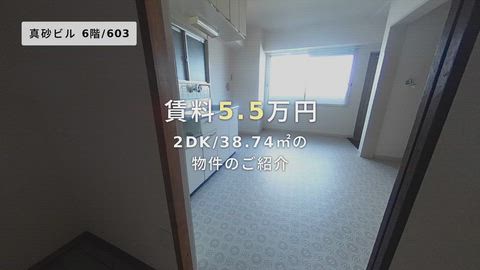 動画