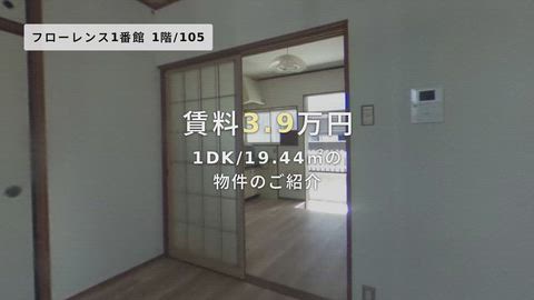 動画
