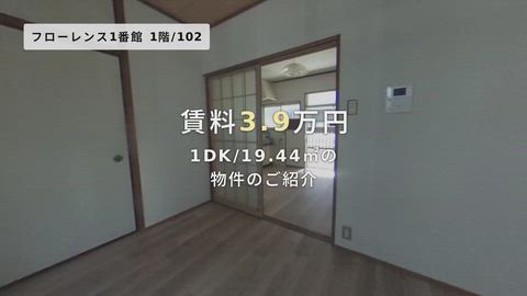 動画