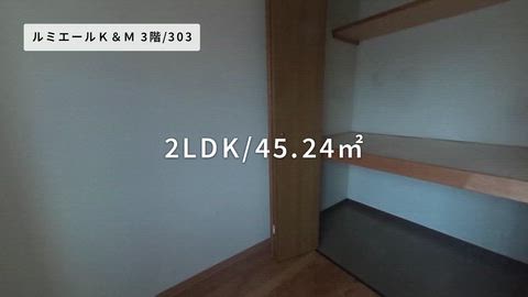 動画