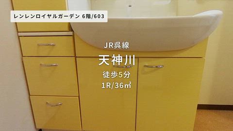動画