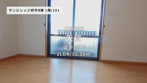 紹介ムービー