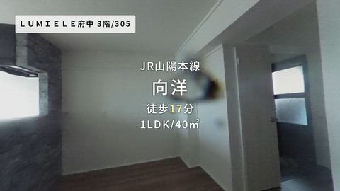 紹介ムービー