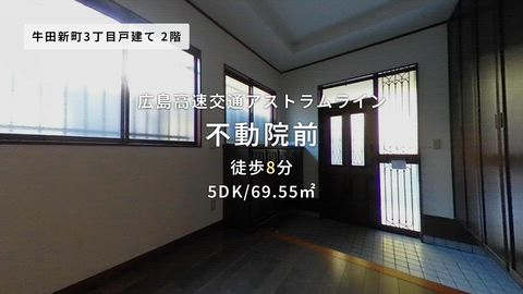 動画