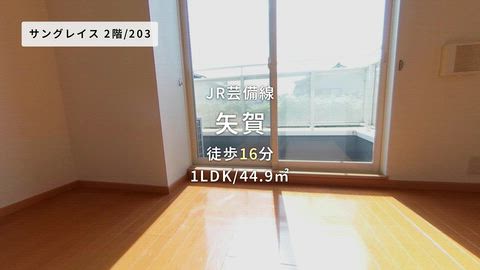 動画