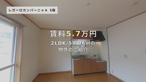 紹介ムービー