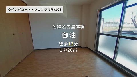 動画