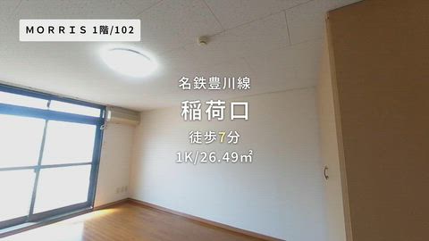 動画