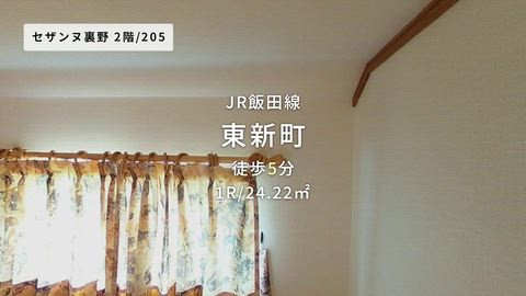 動画