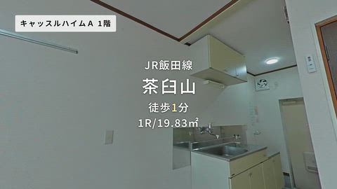 動画