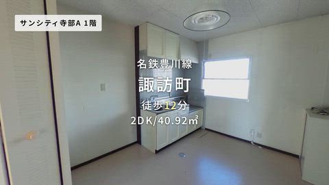 動画