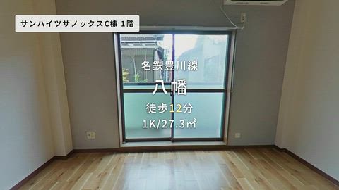 動画