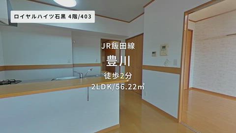 動画