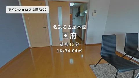 動画