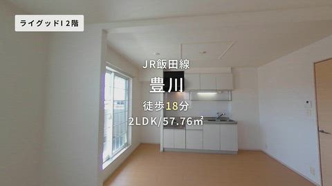 動画