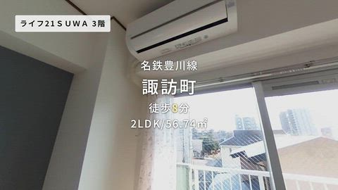 動画