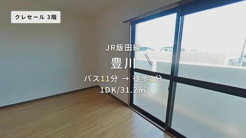 動画