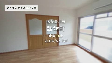 動画