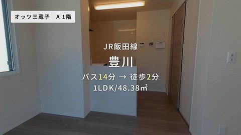 動画