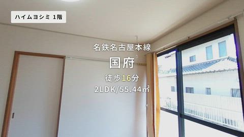 動画