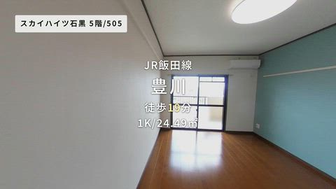 動画