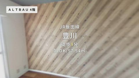 動画
