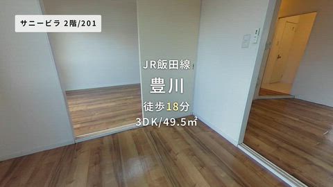 動画