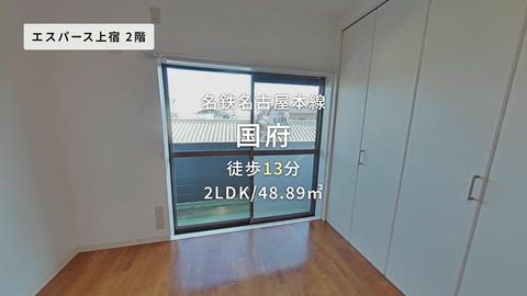 動画