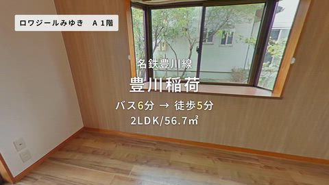 動画