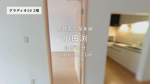 動画