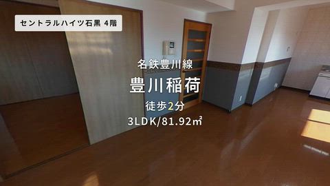 動画