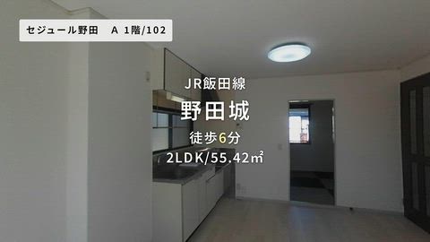 動画