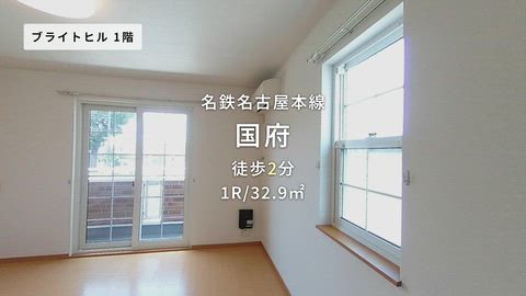 動画