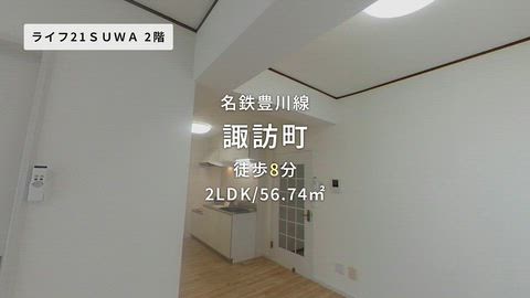 動画
