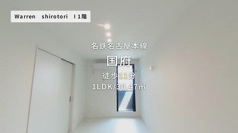 動画